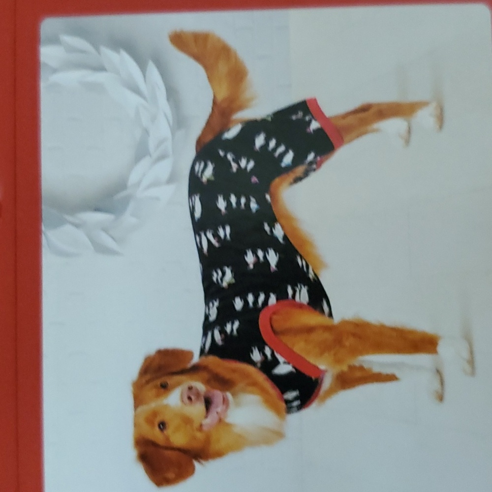 pet pjs